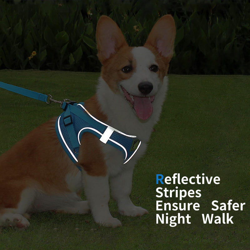 Step in Dog Harness with Leash Set, Adjustable Soft Padded and Breathable Mesh for Small Sized Dog, Reflective No Pull No Choke Cat Vest Harness, Easy Control Pet Vest, Blue S - PawsPlanet Australia
