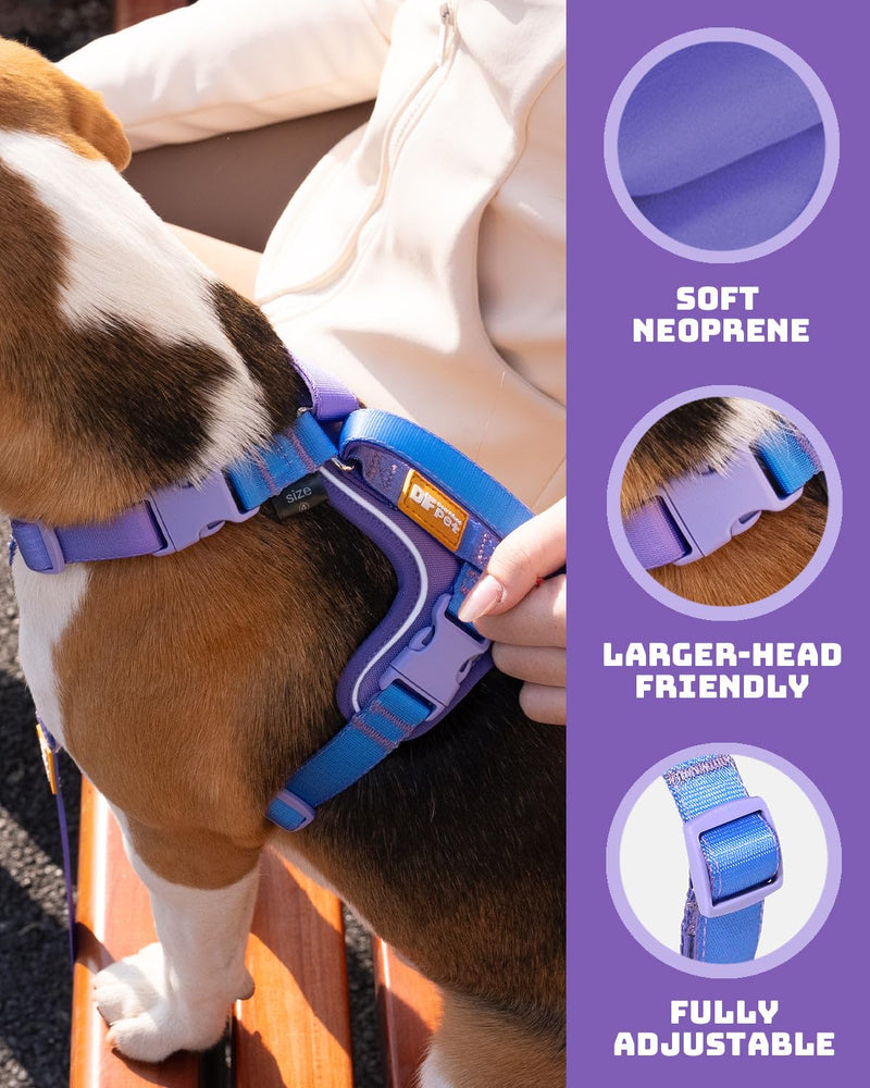 DF Freedom No Pull Martingale Dog Harness, Gentle Control for No Choking, Front Clip Harness with Reflective, Adjustable & Padded Handle for Easy Walking & Training, Rainbow, 3/4", Chest 20"-26.8" 3/4" (Chest 20" - 26.8") Rainbow Pro - PawsPlanet Australia