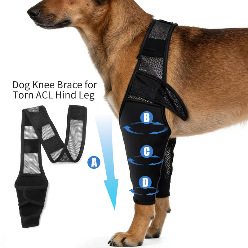 Dog Hind Leg Brace for ACL Injuries, Supports Joint Stability and Reduces Pain, Comfortable and Adjustable Dog Knee Brace Fit for All Breeds (Small)