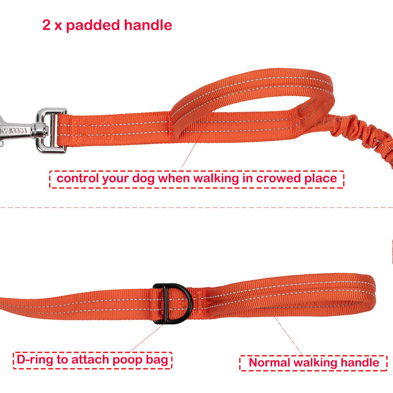 ICEFANG Tactical Dog Leash,K9 Training Walking Bungee Lead with Double Handle,Heavy duty metal Clasp,Hands free D-ring for Medium Large Breed (6 ft (Pack of 1), Reflective Orange) 6 ft (Pack of 1) - PawsPlanet Australia