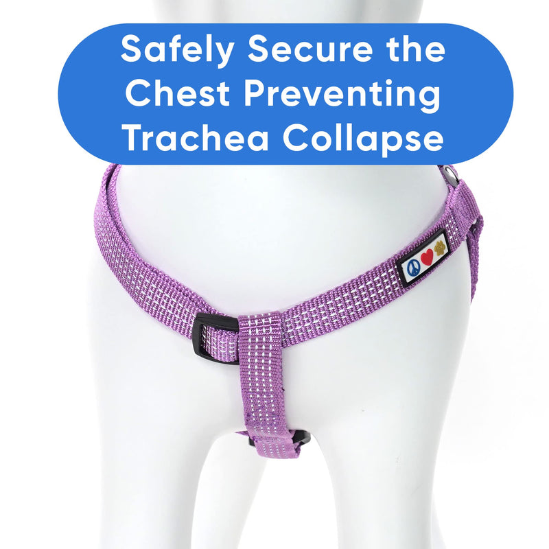 Pawtitas Dog Harness Small Sized Dog Orchid Purple Dog Harness Step in from a Senior Dog to a Puppy Harness Adjustable Reflective Dog Harness S Reflective Dog Vest Small (Pack of 1) Orchid ⚡Reflective - PawsPlanet Australia