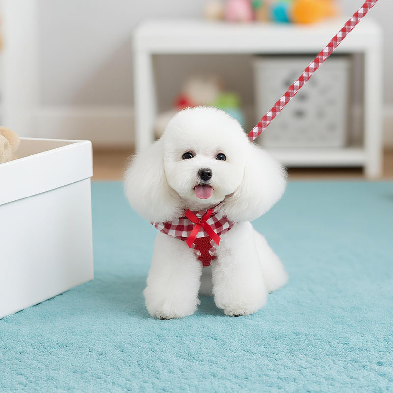 EXPAWLORER Cute Dog Harness Collar Leash Set - Red Girl Dog Harness Checkered Step-in Design, Detachable Bow Pet Collar, Adjustable No-Choke Lightweight Mesh Vest for Cats Puppy Small Dogs, S Red (with Collar) - PawsPlanet Australia