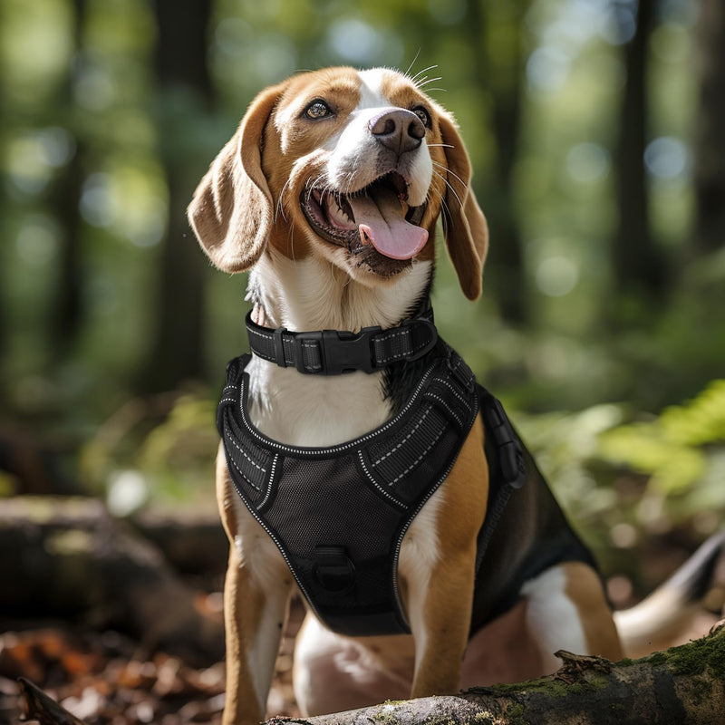 Joytale Reflective Dog Collar, Soft Neoprene Padded, Metal D-Ring, Nylon Pet Collar Adjustable for Large Dogs, Black, L Large (Pack of 1)