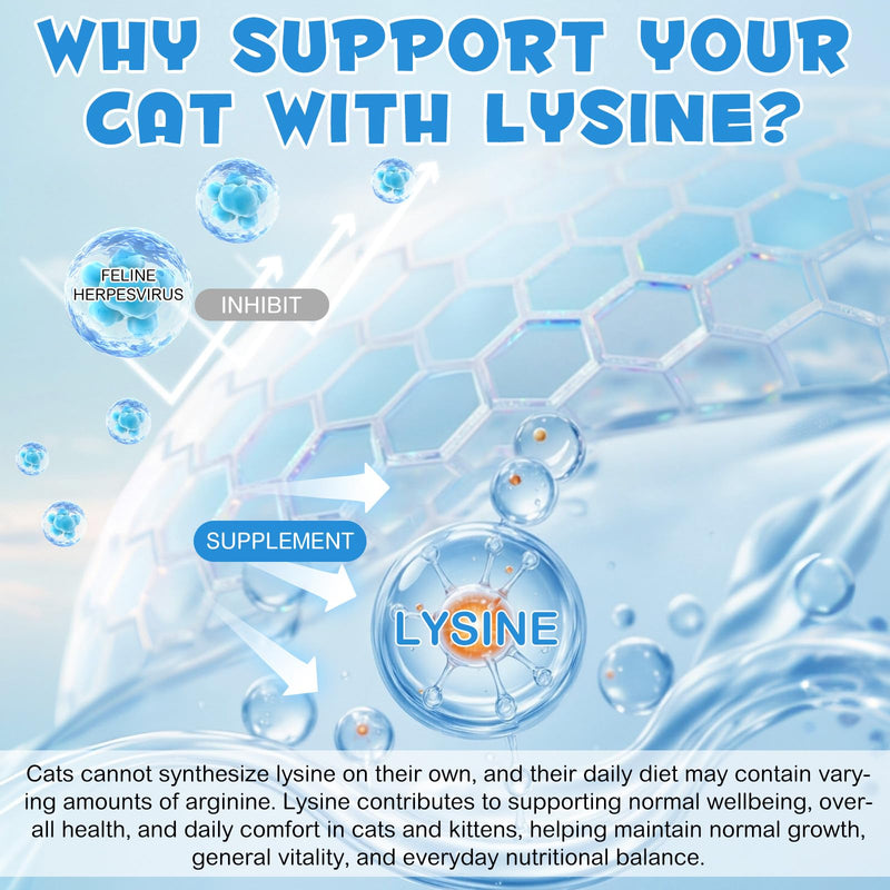 L-Lysine for Cats, L-ysine Supplement for Cats, Cat Immune Support, Cat Lysine Drops, 60ML Drops for Respiratory, Sneezing, Runny Nose, Eye Function, Allergy Relief for Kittens