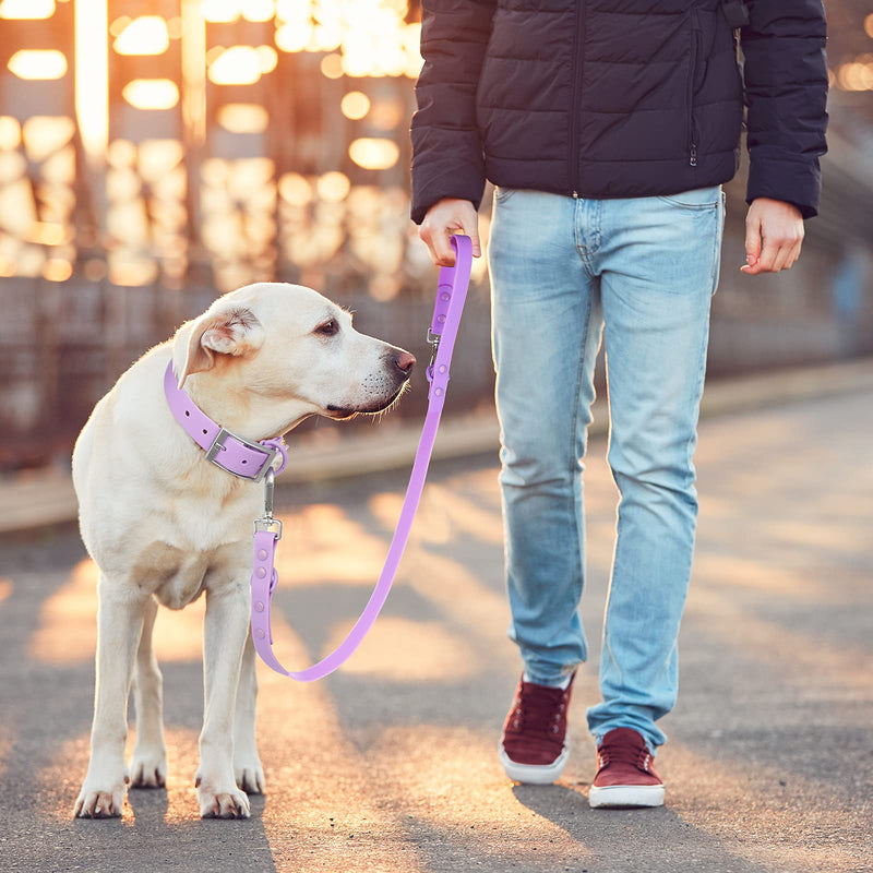 Wisedog Waterproof Dog Leash – 5ft/6ft Adjustable with 2 Metal Swivel Hooks, Easy to Clean Dog Leashes for Small, Medium, Large Breed Dogs (Lilac M) 5 ft × 3/4 in Lilac - PawsPlanet Australia