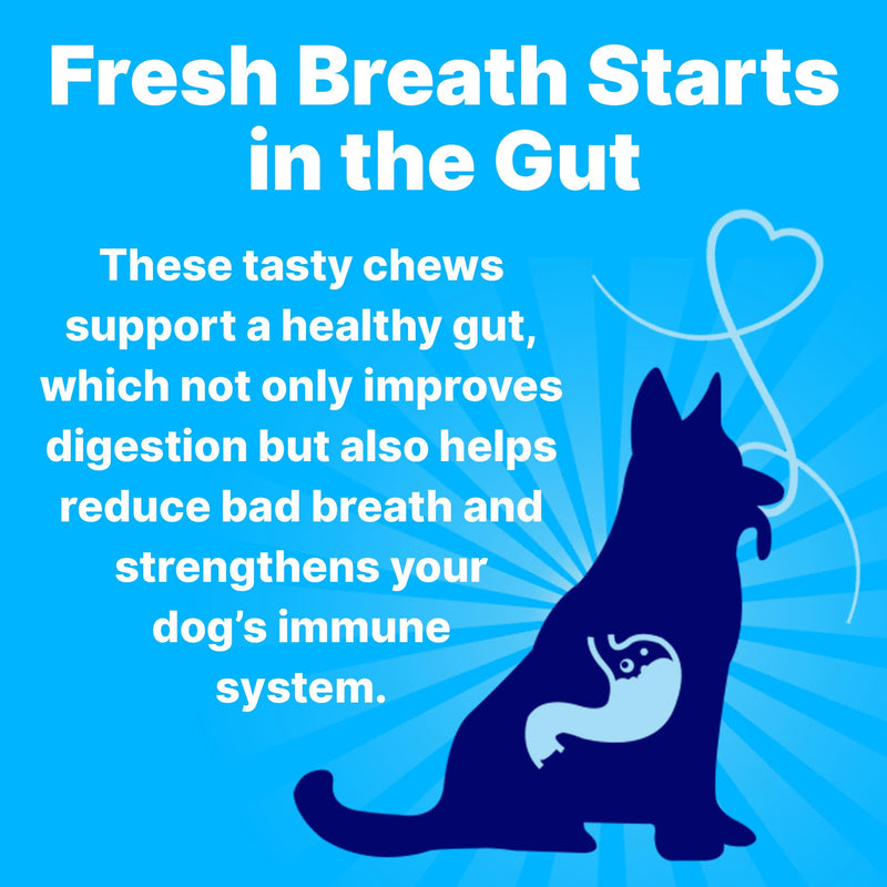 Fresh Breathies, All-Natural Dental Chews for Dogs, Dog Breath Treatment That Supports Gut Health and Immune System, Dog Teeth Cleaning Chews, Dental Treats for Dogs Made in The USA, 30 Count Bag
