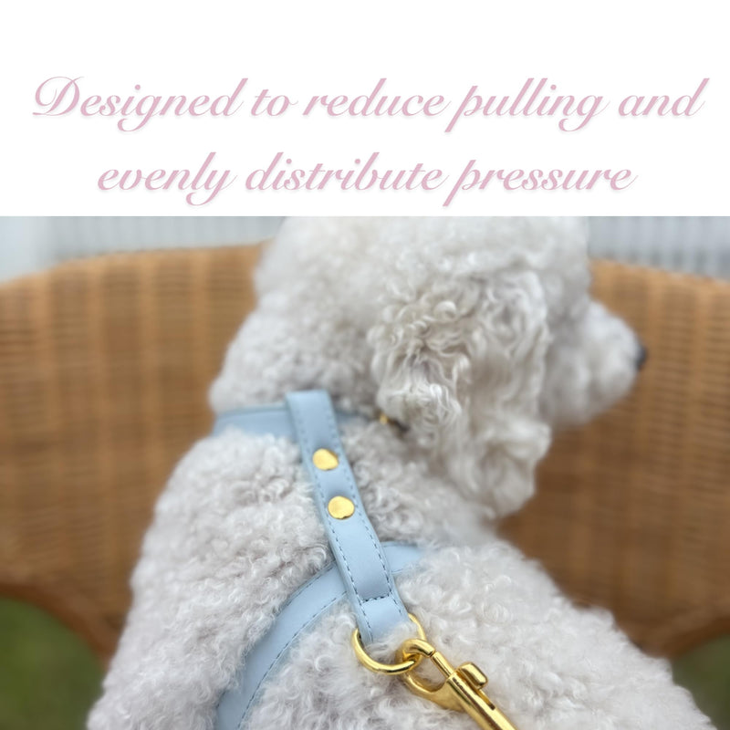 Luxury Dog Harness and Leash Set, Adjustable Padded Pet Harness for Small, to Large Dogs, No Pull H-Shaped Design with Handle, Premium Comfort and Control, Stylish Blue(S) Dog Harness. Small (S) - PawsPlanet Australia