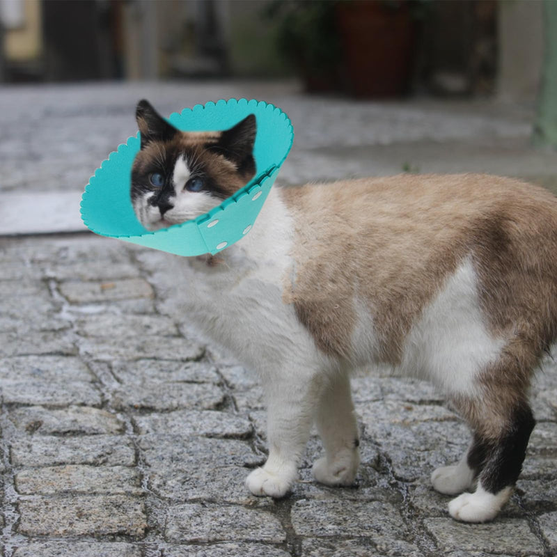 Toyvian 7-Pack Lightweight Adjustable Rehabilitation Collar made of PP for Cats and Dogs 4.5-7kg with Conical Shape for Postoperative Use and Daily Protection