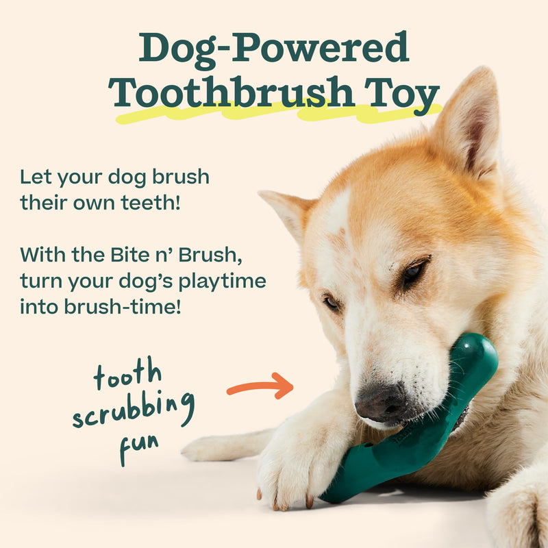 WOOF - Bite n' Brush Refills Treats for the Dog Toothbrush Toy - Scrub Plaque and Tartar from Your Dog's Teeth and Mouth - Dog Dental Sticks - 36 Refills - Chicken - 2 Pack 2 Pack Chicken - PawsPlanet Australia