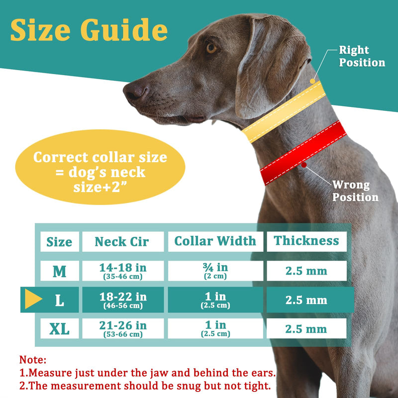 Martingale No Pull Dog Collar for Large Medium Dogs Pitbull German Shepherd Rottweiler, Patented Reflective Anti Pull Dog Collar with Buckle, Adjustable Dog Walking Collar No Pull for Training Hiking Large,2.5mm,18''-22"Neck Cyan