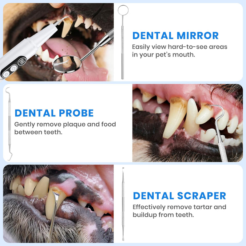 Dog Plaque Remover for Teeth, Pet Ultrasonic Cleaner with LED Light & Stand, 5 Modes, Pet Teeth Cleaning kit, Suitable for Dogs and Cats
