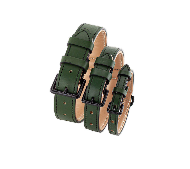 Brute Strength Leather Dog Collar - Dark Green - M - 36-43 cm - PawsPlanet Australia