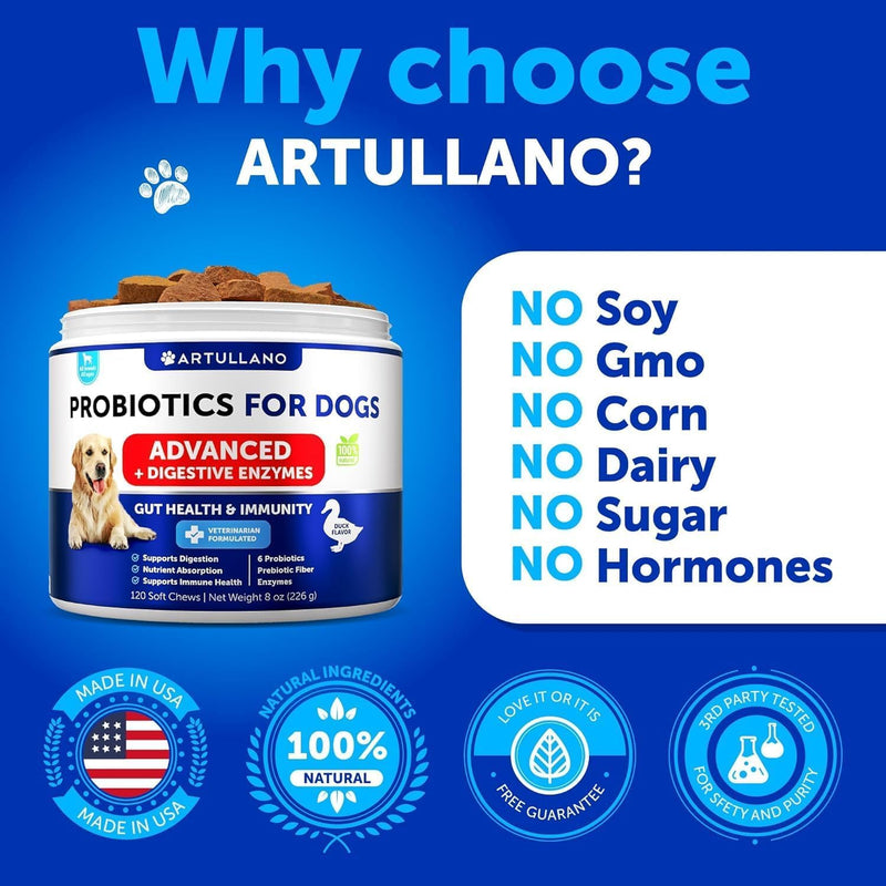 Probiotic Chews for Dogs - Immunity Support - Probiotics & Prebiotic & Enzymes - PawsPlanet Australia