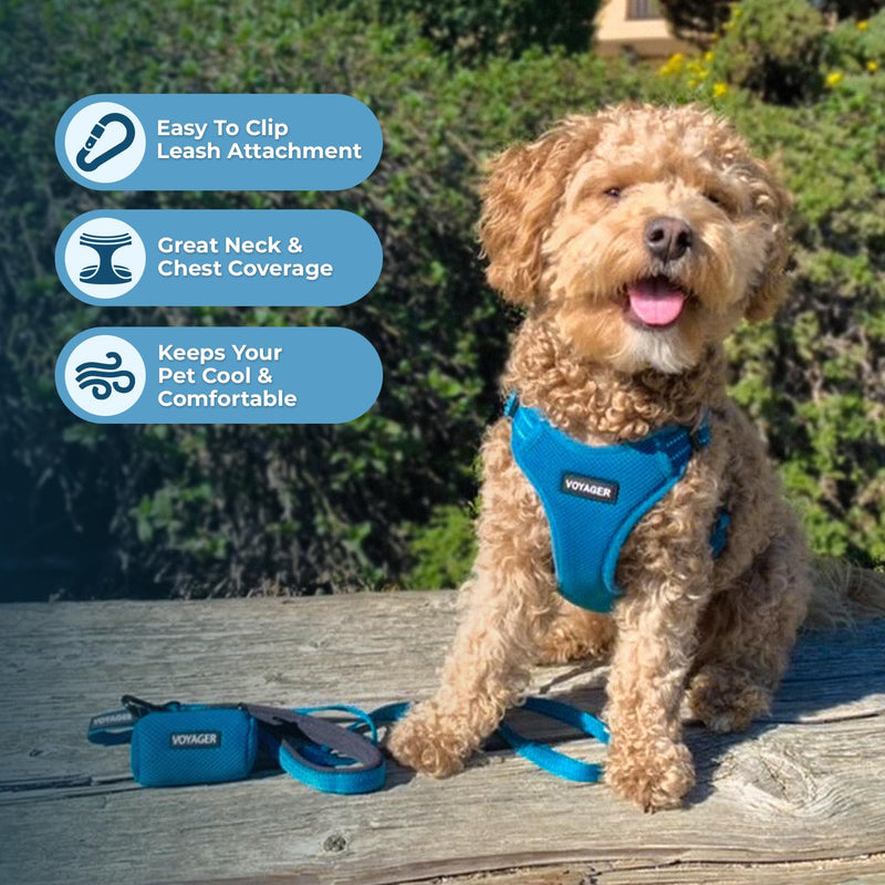 Best Pet Supplies Voyager Adjustable Step-in Flex Breathable Mesh Dog Harness for Small Medium Large Dogs Leash Set (Turquoise), M Harness Leash Set (Turquoise)