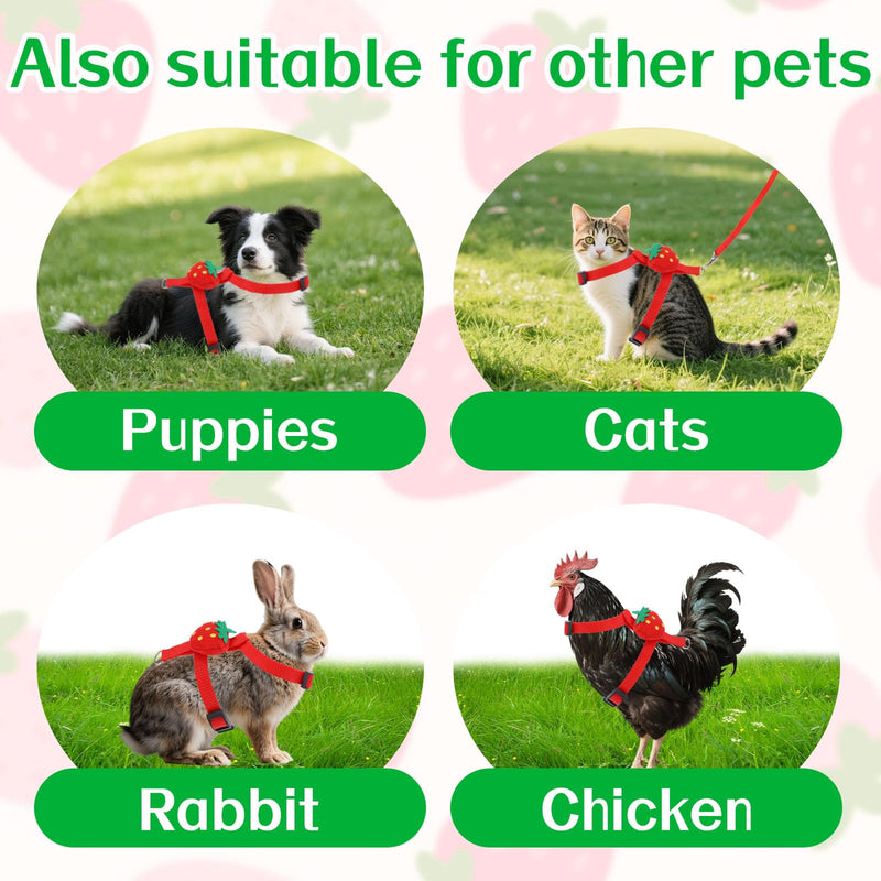 Duck Harness Leash, Duck Leash and Harness Set Cute Strawberry Design Adjustable Pet Walking Rope for Chicken Puppy Bunny Small Animals (S) S - PawsPlanet Australia