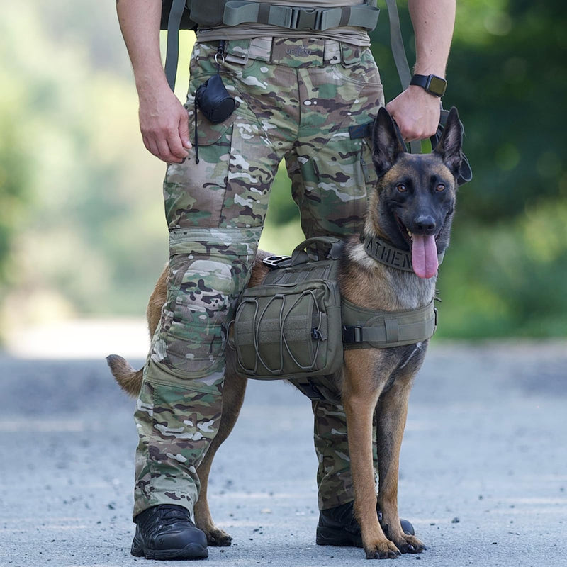 OneTigris Dog Backpack for Medium & Large Dogs, Nylon Backpack for Dogs Tactical Pet Backpack with Side Pockets for Hiking Walking Training Running (Green, Large) Green - PawsPlanet Australia