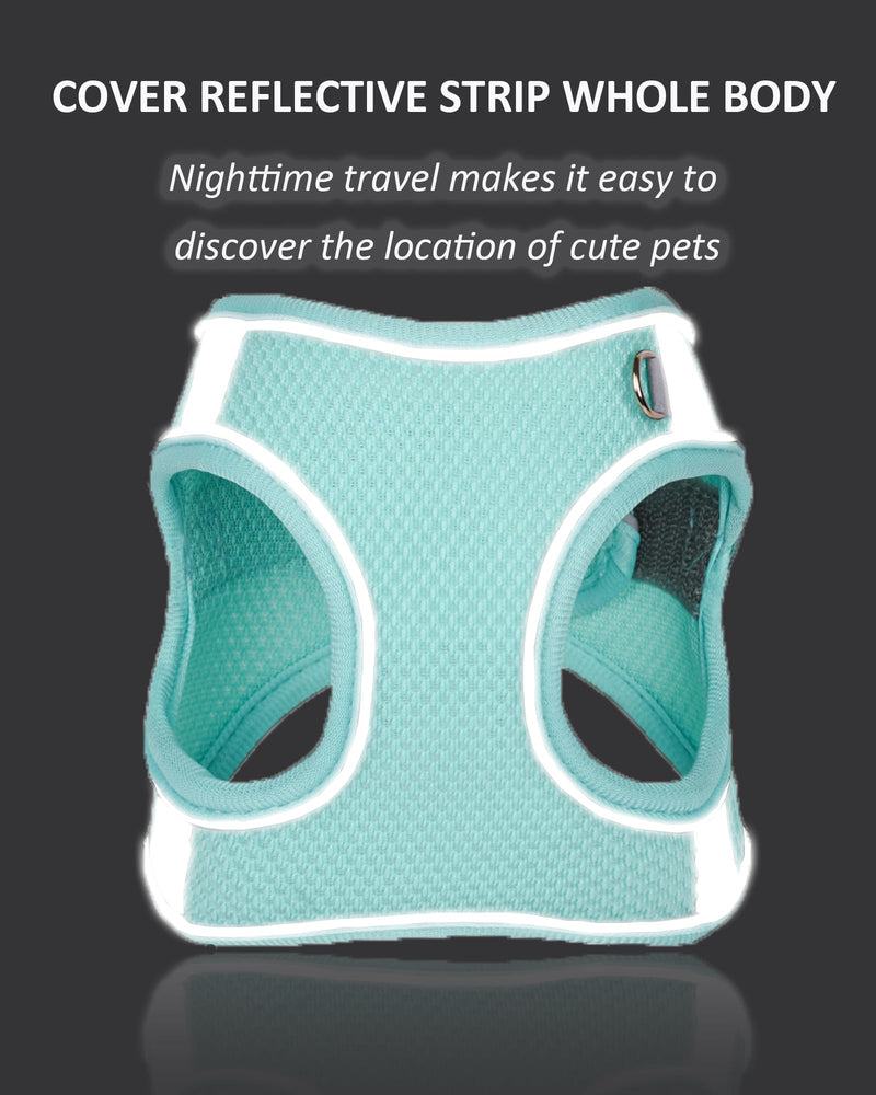 Solmoony Dog Harness for Small Medium Large Dogs No Pull, Puppy Harness and Leash Set, Puppy Harness for Small Dogs, Step in Harness for Small Dogs, Small Dog Harness, mesh Dog Harness. (Pink, XS) Pink - PawsPlanet Australia