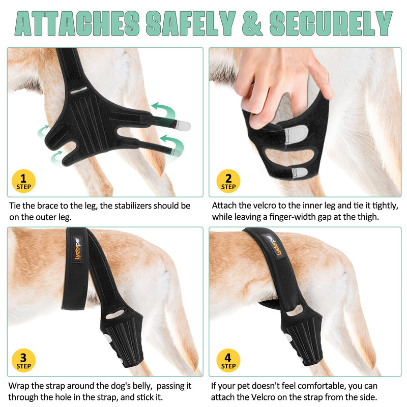 Dog Knee Brace for Torn ACL Hind Leg, Rear Leg Cruciate Ligament Braces for Dogs, Strong Support to Reduce Joint Pain and Muscle Sore, with Side Stabilizers for Back Leg XXSmall XX-Small - PawsPlanet Australia