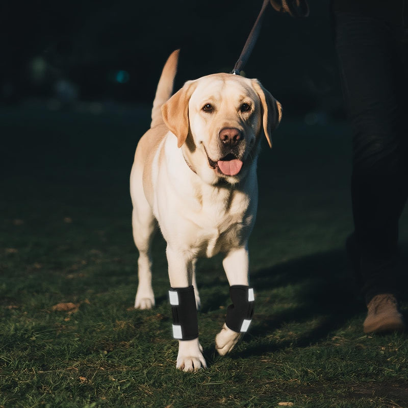 Dog Leg Brace Front with Reflective Straps, 2PCS Dog Ankle Brace for Forelimb, Post-Injury Recovery Splint, Prevents Sprains and Supports Healing(S,Black) S Black