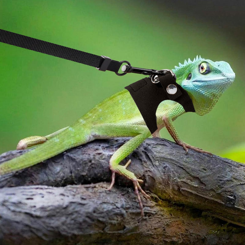 3 Pack Bearded Dragon Harness and Leash, Adjustable Bearded Dragon Leash and Harness Set with Traction Rope Bearded Dragons Clothes for Lizards and Other Small Reptiles (3 Sizes) - PawsPlanet Australia