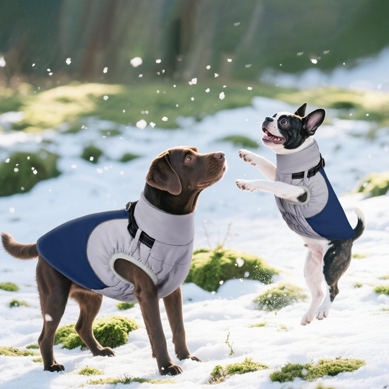 DENTRUN Dog Coat with Harness Built in, Easy On/Off Zipper Closure Winter Dog Vest, Water-Repellent Fleece Lined Warm Jacket with Reflective for Small Dogs, Dark Blue, S Gray-Blue - PawsPlanet Australia