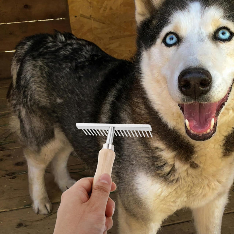 Grooming Rake with Anti-Slip Wooden Handle: Stainless Steel Grooming Brush for Dogs Golden Retriever Husky German Shepherd Pet Supplies Tool - PawsPlanet Australia