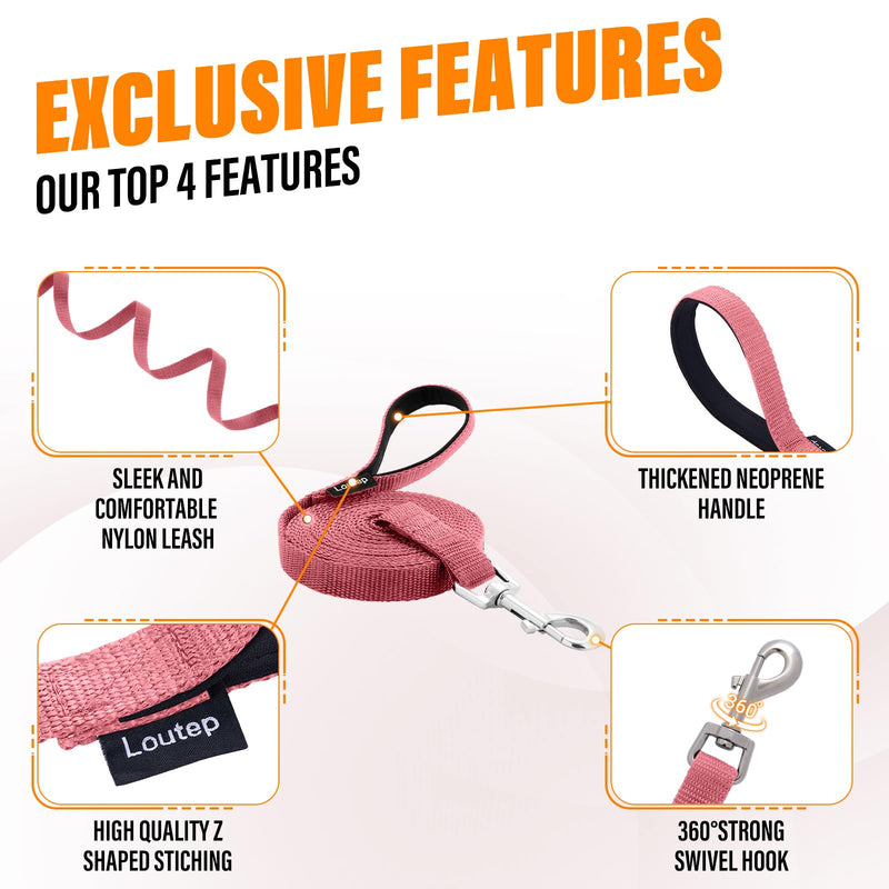Dog Training Leash - Long Line for Recall & Obedience, Nylon Training Lead with Padded Handle, 15 ft / 20 ft / 30 ft / 50 ft / 100 ft - Long Leash for Dogs Outside, Small/Medium/Large 15ft Pink - PawsPlanet Australia
