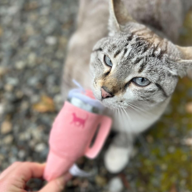 Kitty Kollection | Plush Kitty Cup Tumbler Catnip Toy with Crinkle Paper – Trendy, Cute, Funny Parody Cat Toy (Chambray Blue) Chambray Blue - PawsPlanet Australia