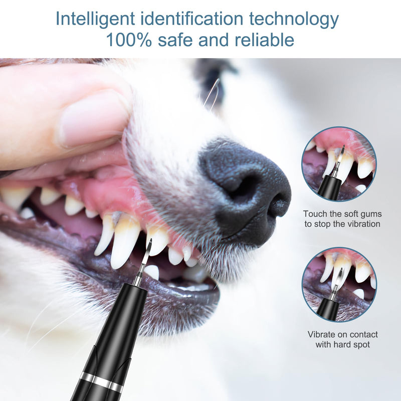 Upgraded Dog Plaque Remover for Teeth, Electric Pet Teeth Cleaning Kit, USB Charging Dog Tooth Brushing Kit, 5 Modes, IPX6 Waterproof Pet Ultrasonic Toothbrush Cleaner for Dogs Cats - PawsPlanet Australia