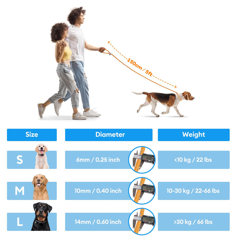 Grand Line Slip Lead Dog Leash - No Pull Training Dog Lead with 5ft Reflective Rope, Durable & Collar-Free for Small, Medium, Large Dogs and Puppies (Purple,M) Purple Medium-2/5in x 5ft - PawsPlanet Australia