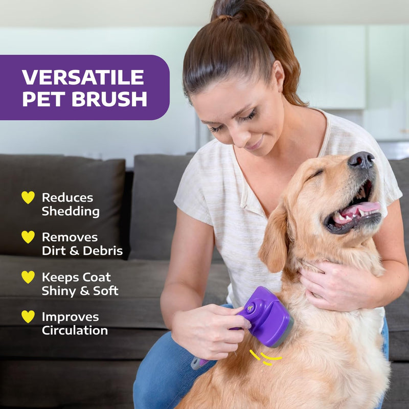Hertzko Self-Cleaning Slicker Brush for Deshedding Long and Short-Haired Pets - Small Size Grooming Rake and Comb for Dogs and Cats Small Sensitive Skin Purple - PawsPlanet Australia
