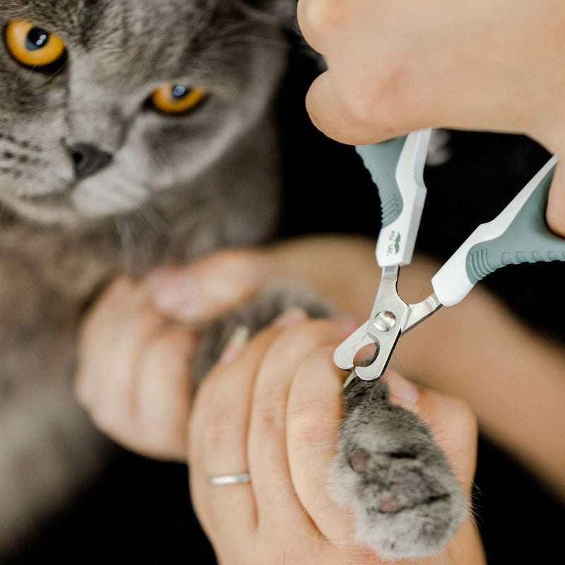 Mr. Pen- Cat Nail Clipper and Pet Carrier - PawsPlanet Australia