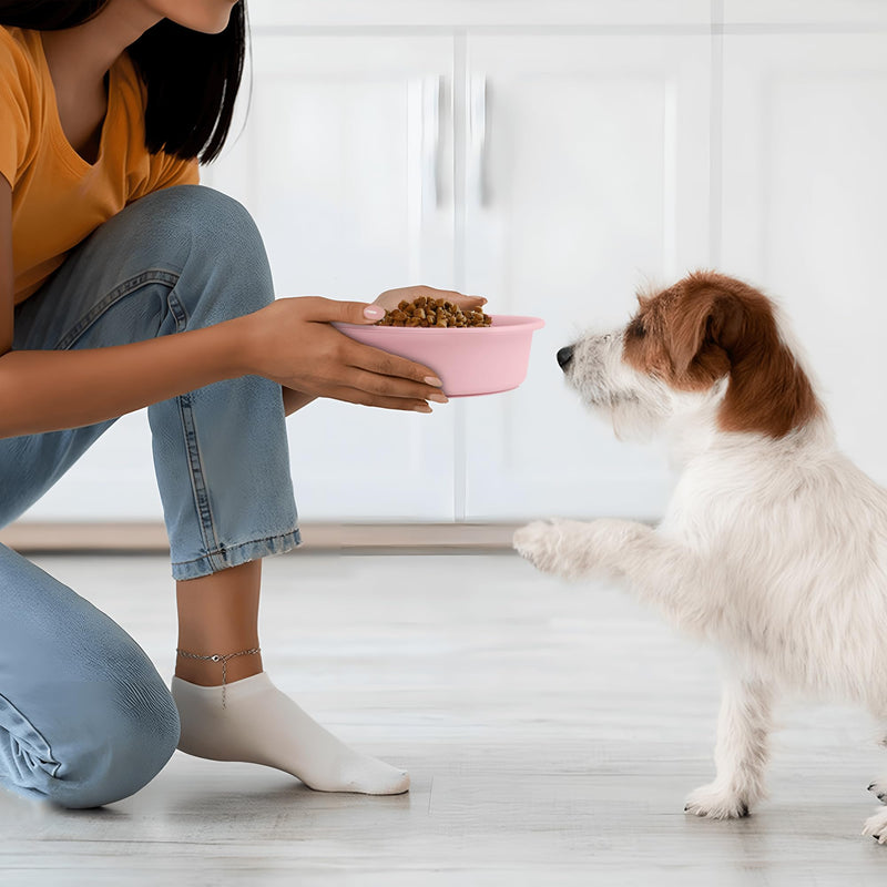 Coomazy Slow Feeder Cat Bowl Wed, Food Grade Silicone for Puppy Small Breed Dogs French Bulldogs Beagle Dachshund Schnauzer, Anti Choking, Protect Stomach, Pink