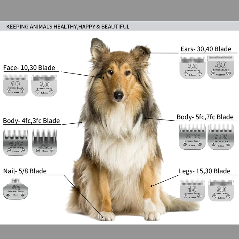 3 Color 40# Detachable Pet Dog Grooming Ceramic Blades,Compatible with Andis,Oster A5,Wahl KM-10 Series,Size #40 Blade 1/100-Inch 0.25MM Cut Length（Silver+Black+Golden） 40# 0.5mm - PawsPlanet Australia