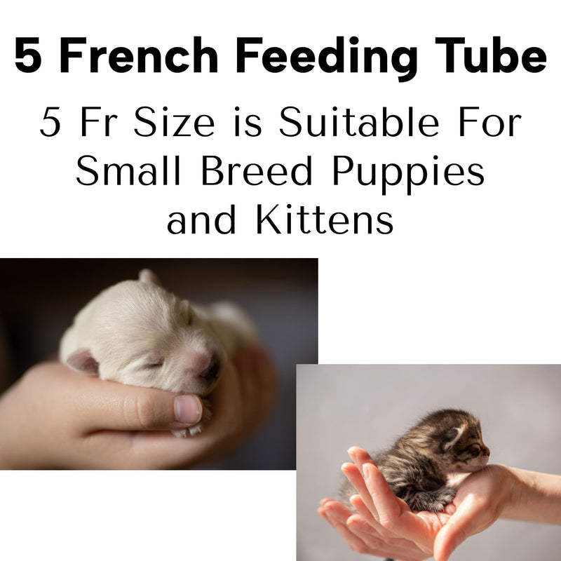 LBH Market Tube Feeding Kit for Puppies Kittens Includes Kendall Puppy Feeding Tube 5 French and 12 Ml Syringe for Fading Puppy Support Whelping Kit or Baby Kitten Supplies (5 FR) - PawsPlanet Australia