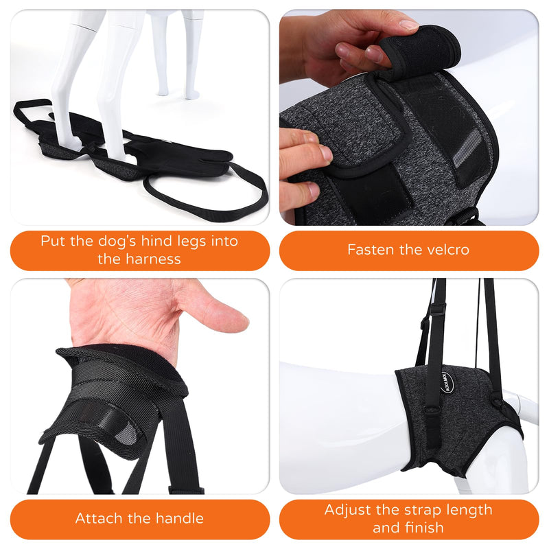 Dog Sling for Medium Large Dog Rear Leg, Lift Harness Provide Support with Muscle Atrophy and Joint Problems for Elderly Injured Arthritic Pet, Dog Weak Rear Legs Provides Rehabilitation Aid L-Waist(20"-25") Dark Grey - PawsPlanet Australia