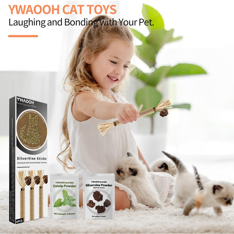 Cat Toys, 6 Silvervine Chew Sticks & 1PCS Organic Catnip & 1PCS Silvervine Powder, Cat Dental Toys for Kitten Teeth Cleaning, Matatabi Cat Toy - PawsPlanet Australia