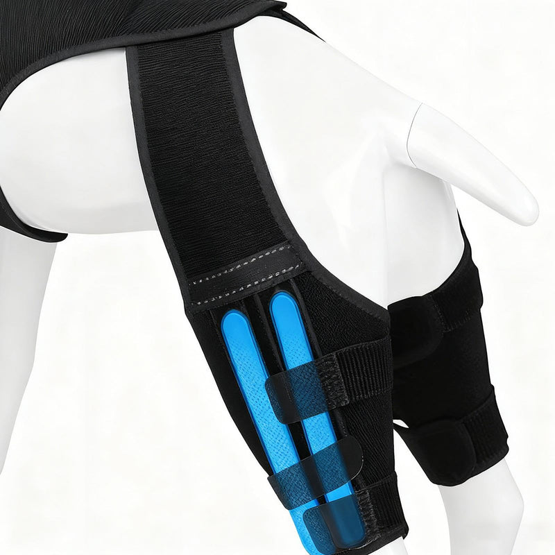 Dog Hip Bandage - Adjustable Knee Bandage with 4 Metal Stabilisers for Supporting the Hind Legs - for Hiking, Training, Outdoor Activities, Park, Travel, at Home black L
