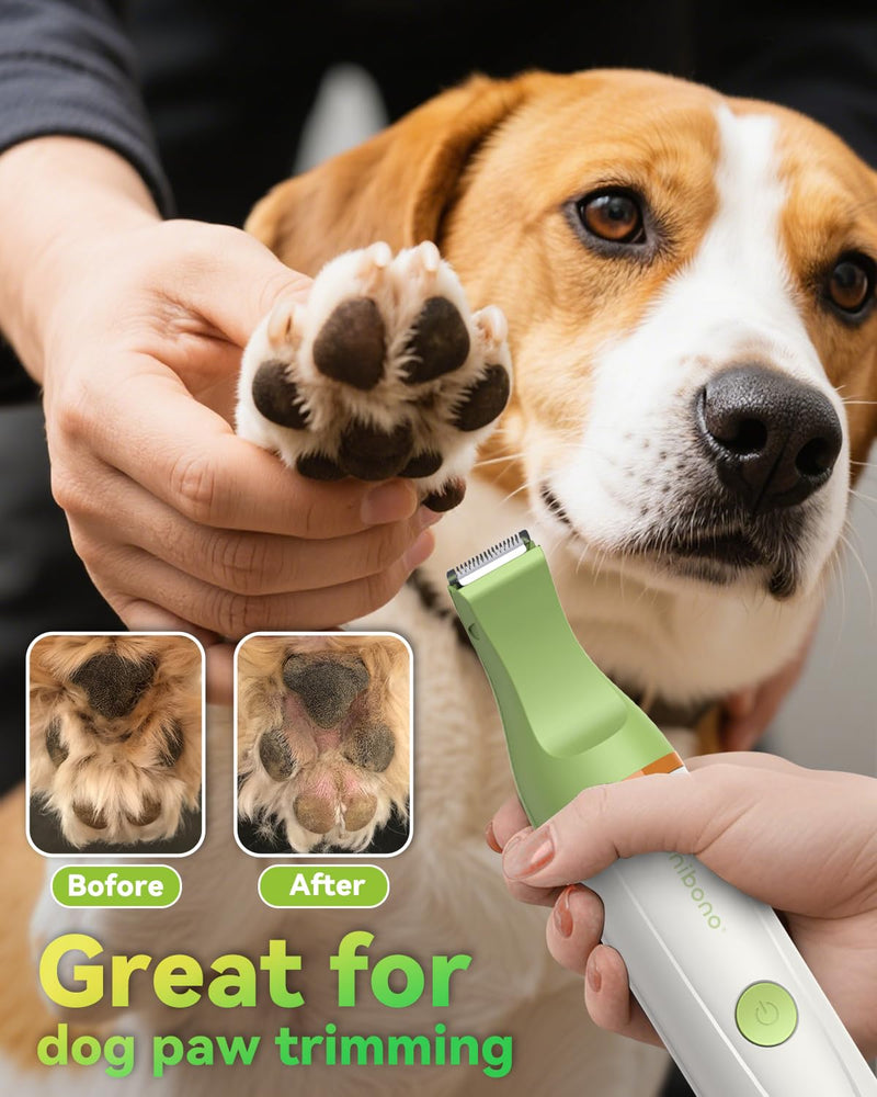 Dog Grooming Kit with Paw Trimmer, All-in-One Low Noise Electric Rechargeable Small Quiet Pet Clippers Foot Dog Hair Shaver with Stainless Steel Scissors and Comb for Dogs at Home (Green) Green