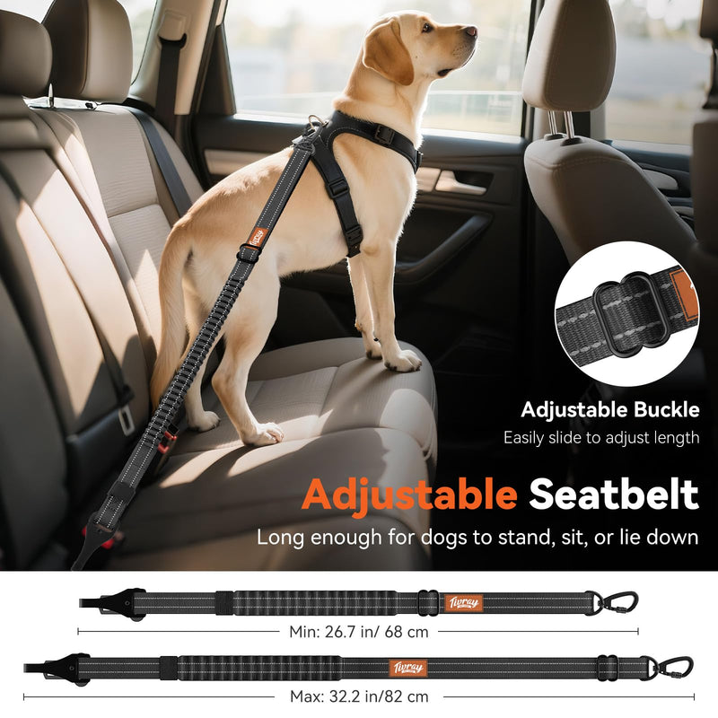 2Pcs Dog Seat Belt, Dog Car Seat Belt Bungee, Car Harness for Pet with Buckle & Hook Latch, Safety Leash Vehicle, Adjustable Reflective Pet Vehicle Tether, 360° Swivel Lock Clasp, Black 2Pcs - PawsPlanet Australia