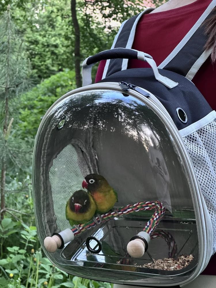 Small Bird Travel Backpack Carrier Cage, Backpack to Transport Backpack Carrier with Metal Tray Stand Perch for Parakeet Cockatiel Budgies Vet Carry Book Bag Black Clear Bubble - PawsPlanet Australia