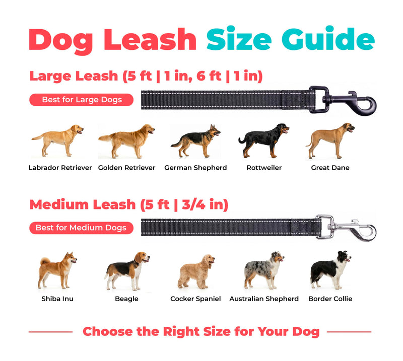 Voyager Reflective Dog Leash with Neoprene Handle, 6ft Long, Supports Small, Medium, and Large Breed Puppies, Cute and Heavy Duty for Walking, Running, and Training - Black, L Leash (Black) 1" x 6ft - PawsPlanet Australia