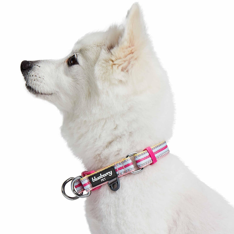 Blueberry Pet Safety Dog Collar with Dual D-Rings | 3M Reflective Multi-Colored Adjustable Collar in Pink and Pastel Blue | Soft Nylon Dog Collar for Active Large Dogs - PawsPlanet Australia