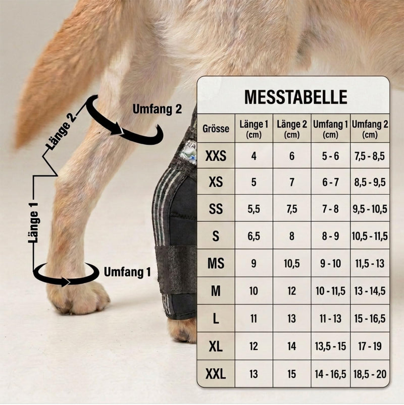 Dog Hock Brace / Hock Bandage for Dogs / Hock Protector Wrap (L) Protective bandage L