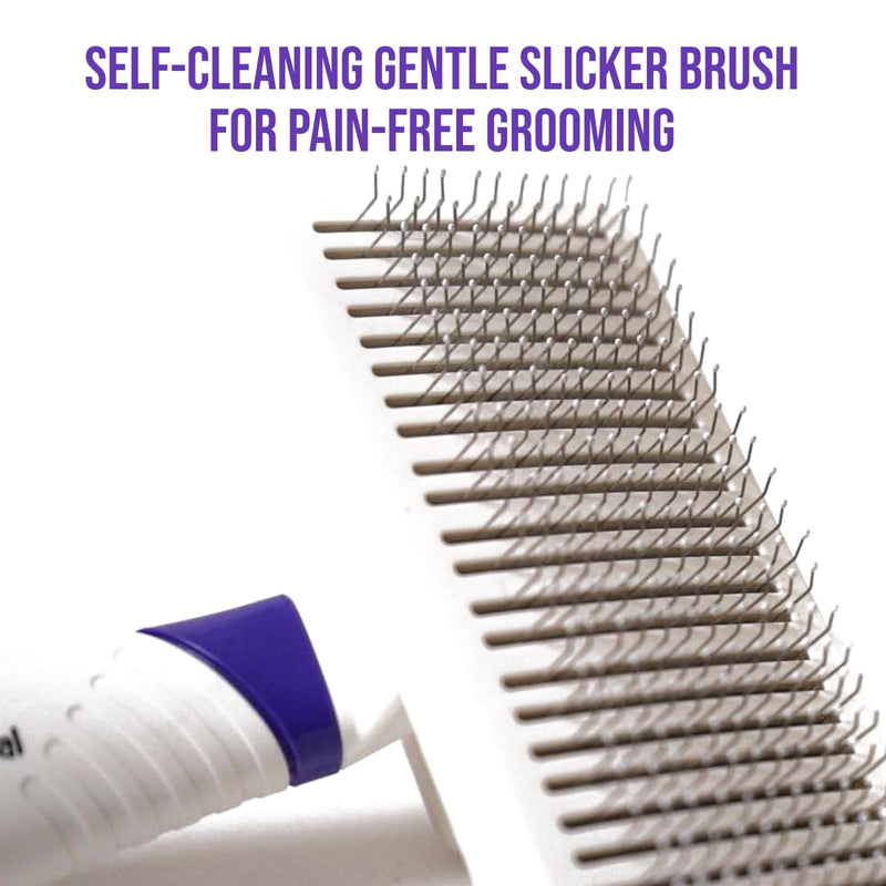 Self-Cleaning Gentle Slicker Brush, Sensitive Skin Gentle Dog Brush, for Big Dog and Large Breed, to Remove Loose Hair, Mats, Dirt - Pain Free Grooming - PawsPlanet Australia