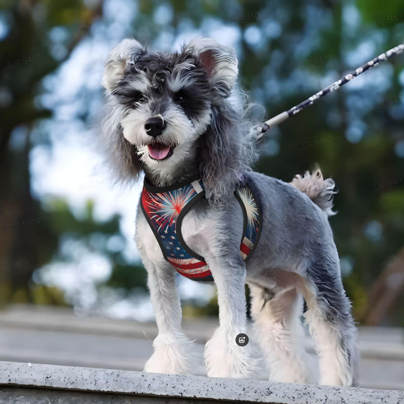 Fireworks Flag Reflective Dog Harness with Leash, Soft Vest Harness for Small Medium Large Dog Puppy Pets (Medium Size) Fireworks Flag - PawsPlanet Australia