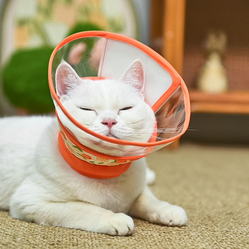 PUPTECK Cat Cone Collar Soft for Neck, Cat Recovery Collar to Stop Licking After Surgery, Adjustable Elizabethan Pet Collar for Small Medium Cats Kittens, Orange, S - PawsPlanet Australia