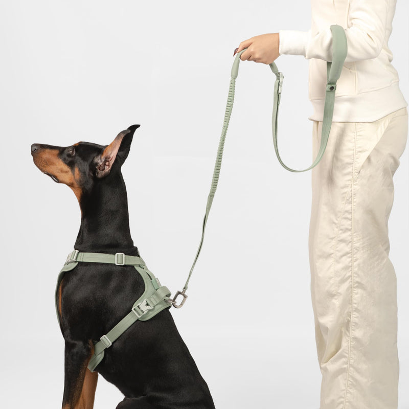 Hands Free Dog Leash Adjustable Versatile Crossbody Waist Dog Leash Reflective Comfortable Padded Handles Shock Absorbing Walking Lead for Small Medium Large Dogs (Light-Burgundy, M) Light-Burgundy