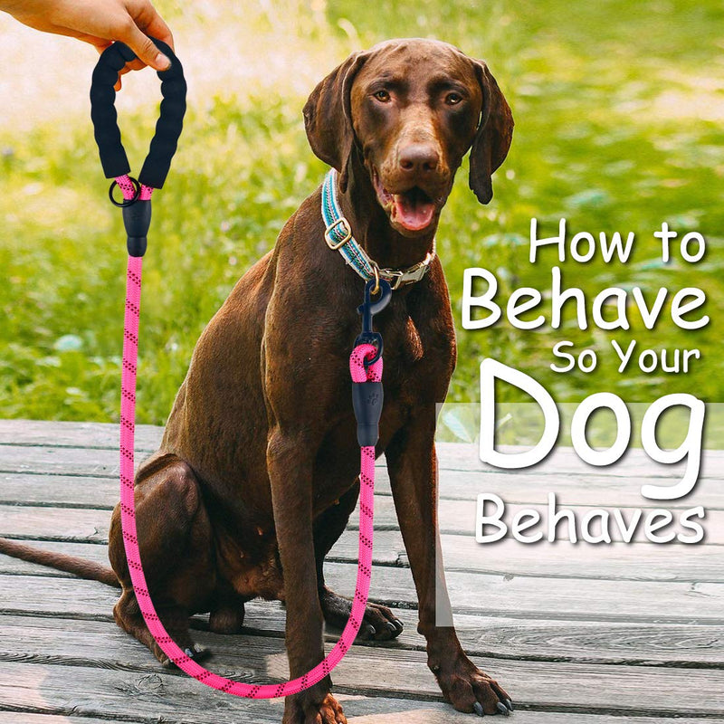 2 Pack Dog Leash 5 FT Thick Durable Nylon Rope - Comfortable Padded Handle Reflective Rope Dog Leash for Medium Large Dogs with Collapsible Pet Bowl and Garbage Bags (Black+Pink, 1/3" x 5 FT) Set 02- Black+Pink 1/3" x 5 FT (0~18 lbs.) - PawsPlanet Australia