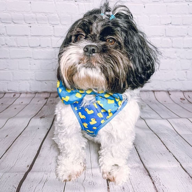 Huxley & Kent Hudson Walking & Training Harness - Lucky Ducky (Extra-Small, 6-10lbs) - Easy Control Step-in Mesh Vest Harness with Reflective Strips for Safety - H&K Extra-Small - PawsPlanet Australia